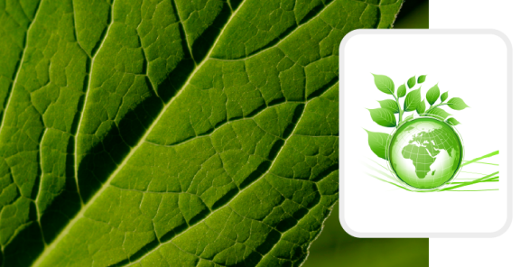 Logistica Sostenibile