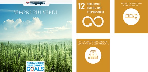 Sostenibilità SDGS - 2022 - Goal 12, sempre più verdi
