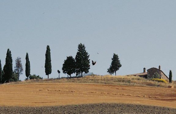 Il nostro è un impegno costante.